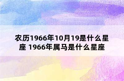 农历1966年10月19是什么星座 1966年属马是什么星座